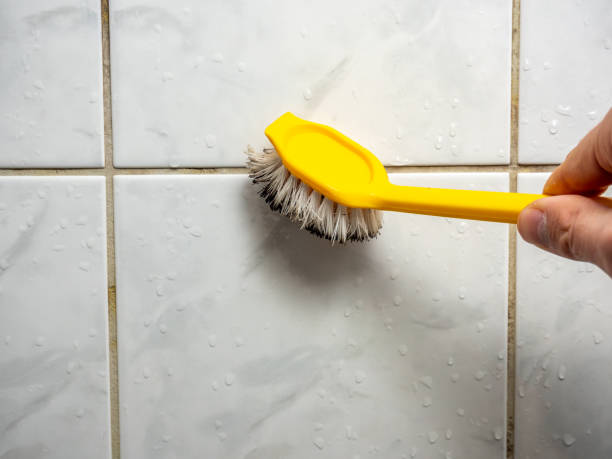 Best Professional Mold Removal  in San Carlos, AZ