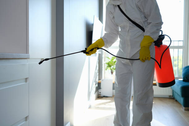 Best Commercial Mold Removal  in San Carlos, AZ