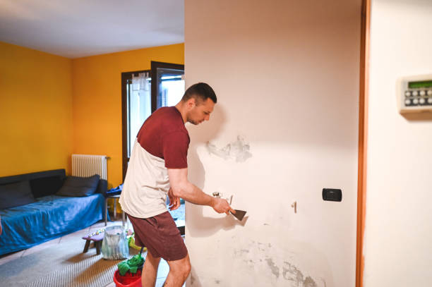 Attic Mold Removal in San Carlos, AZ
