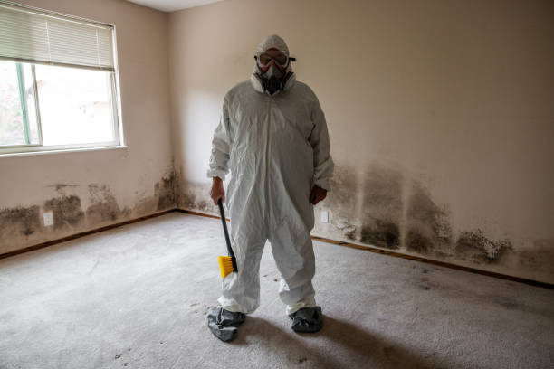 Certified Mold Removal in San Carlos, AZ